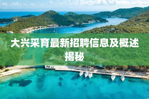 大興采育最新招聘信息及概述揭秘