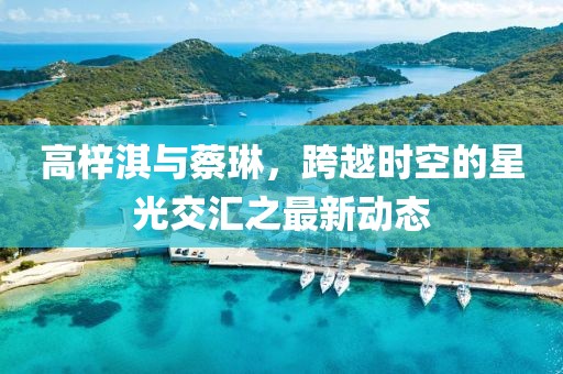 高梓淇與蔡琳，跨越時(shí)空的星光交匯之最新動(dòng)態(tài)