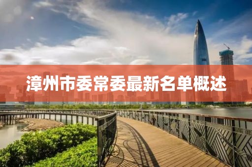 漳州市委常委最新名單概述
