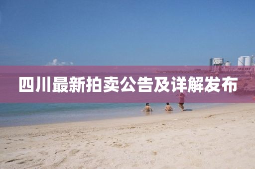 四川最新拍賣公告及詳解發(fā)布