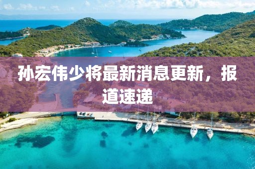 孫宏偉少將最新消息更新，報道速遞