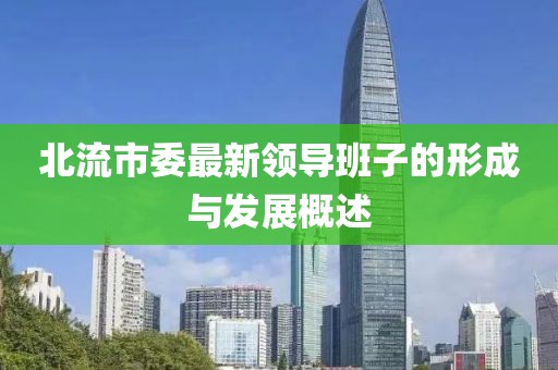 北流市委最新領(lǐng)導(dǎo)班子的形成與發(fā)展概述
