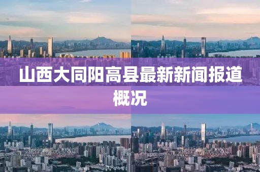 山西大同陽高縣最新新聞報(bào)道概況