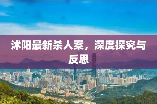 沭陽最新殺人案，深度探究與反思