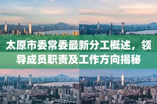 太原市委常委最新分工概述，領(lǐng)導(dǎo)成員職責(zé)及工作方向揭秘