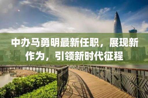 中辦馬勇明最新任職，展現(xiàn)新作為，引領新時代征程