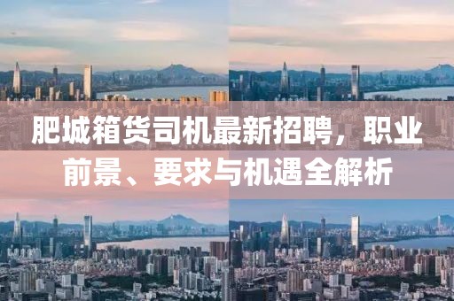 肥城箱貨司機(jī)最新招聘，職業(yè)前景、要求與機(jī)遇全解析