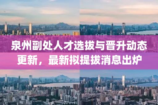 泉州副處人才選拔與晉升動(dòng)態(tài)更新，最新擬提拔消息出爐