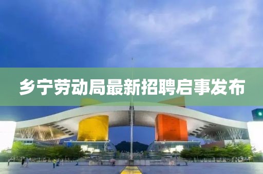 鄉(xiāng)寧勞動(dòng)局最新招聘啟事發(fā)布