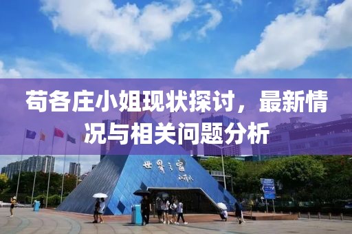 茍各莊小姐現(xiàn)狀探討，最新情況與相關(guān)問題分析