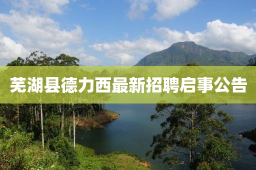 蕪湖縣德力西最新招聘啟事公告