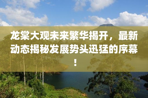 龍?zhí)拇笥^未來繁華揭開，最新動(dòng)態(tài)揭秘發(fā)展勢頭迅猛的序幕！
