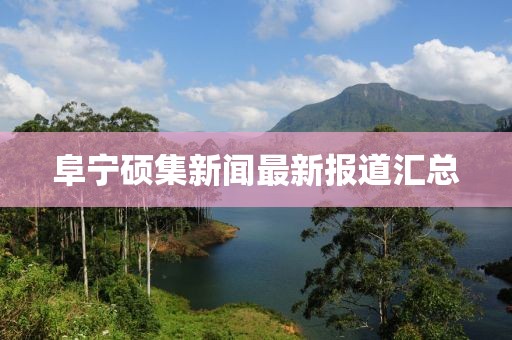 阜寧碩集新聞最新報(bào)道匯總