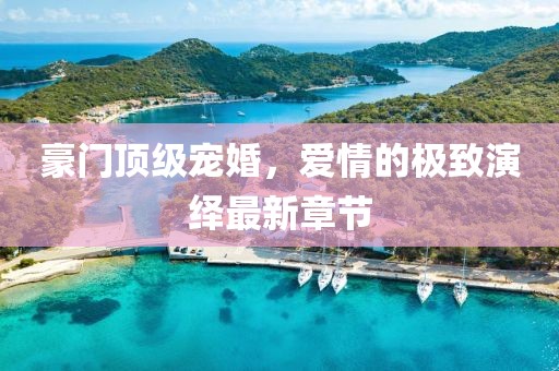 豪門頂級(jí)寵婚，愛情的極致演繹最新章節(jié)
