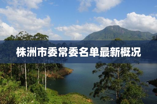 株洲市委常委名單最新概況