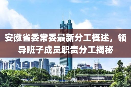 安徽省委常委最新分工概述，領(lǐng)導(dǎo)班子成員職責(zé)分工揭秘