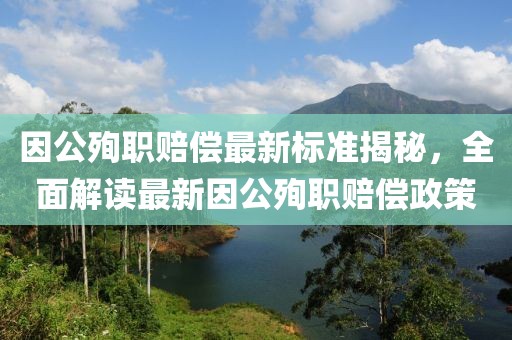 因公殉職賠償最新標(biāo)準(zhǔn)揭秘，全面解讀最新因公殉職賠償政策