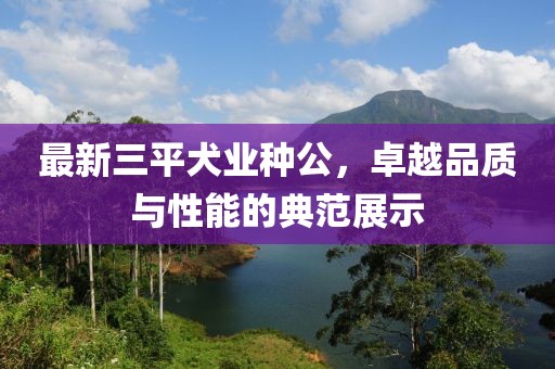 最新三平犬業(yè)種公，卓越品質(zhì)與性能的典范展示