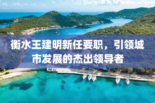 衡水王建明新任要職，引領(lǐng)城市發(fā)展的杰出領(lǐng)導(dǎo)者