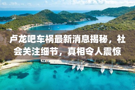 盧龍吧車禍最新消息揭秘，社會(huì)關(guān)注細(xì)節(jié)，真相令人震驚