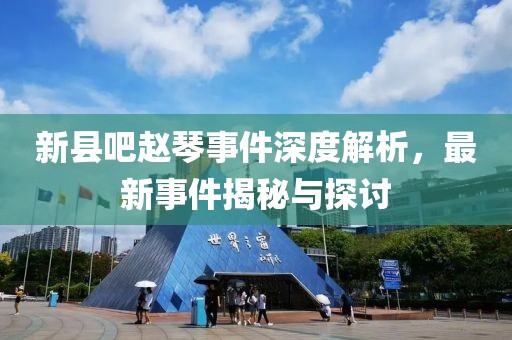新縣吧趙琴事件深度解析，最新事件揭秘與探討
