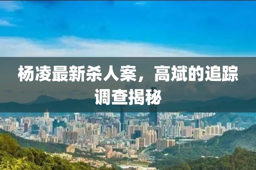 楊凌最新殺人案，高斌的追蹤調(diào)查揭秘