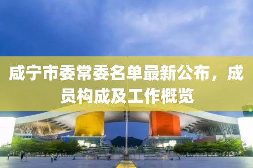 咸寧市委常委名單最新公布，成員構(gòu)成及工作概覽