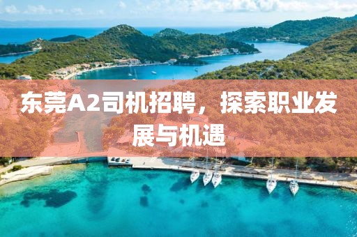 東莞A2司機(jī)招聘，探索職業(yè)發(fā)展與機(jī)遇