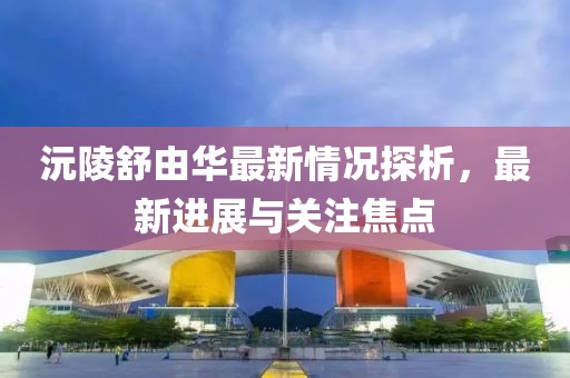 沅陵舒由華最新情況探析，最新進(jìn)展與關(guān)注焦點(diǎn)