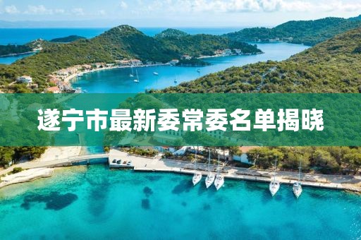 遂寧市最新委常委名單揭曉