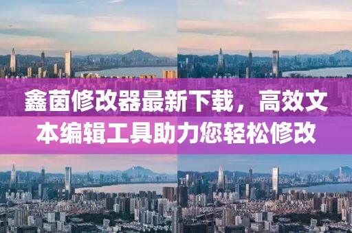 鑫茵修改器最新下載，高效文本編輯工具助力您輕松修改
