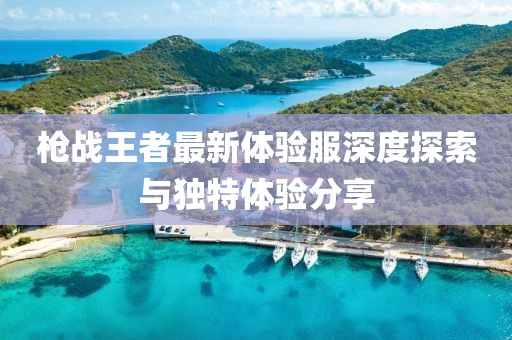槍?xiě)?zhàn)王者最新體驗(yàn)服深度探索與獨(dú)特體驗(yàn)分享