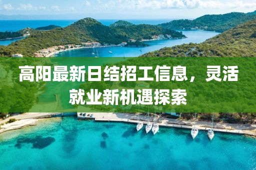 高陽最新日結(jié)招工信息，靈活就業(yè)新機遇探索