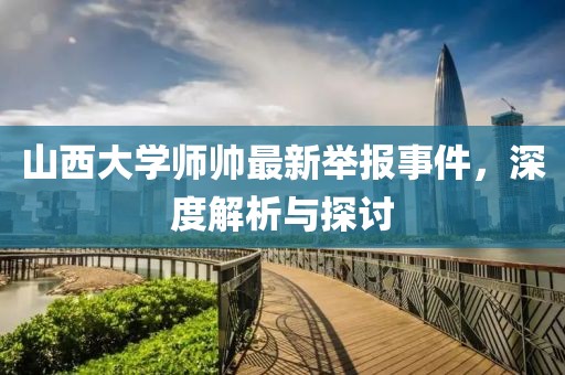 山西大學(xué)師帥最新舉報(bào)事件，深度解析與探討