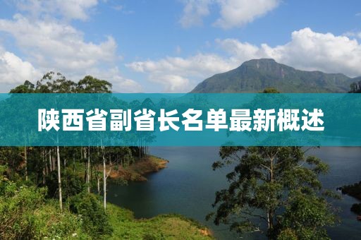 陜西省副省長名單最新概述