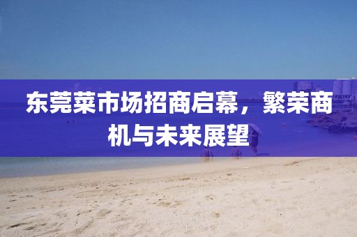東莞菜市場招商啟幕，繁榮商機與未來展望