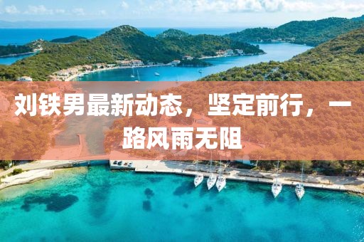 劉鐵男最新動態(tài)，堅定前行，一路風雨無阻