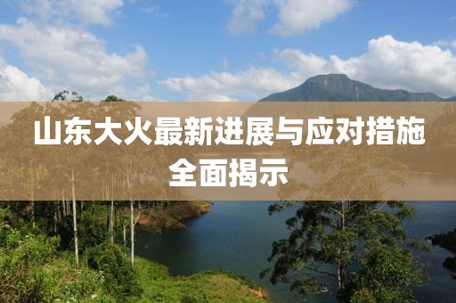 山東大火最新進(jìn)展與應(yīng)對(duì)措施全面揭示