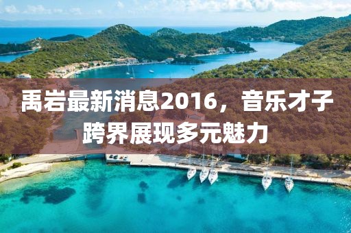 禹巖最新消息2016，音樂(lè)才子跨界展現(xiàn)多元魅力