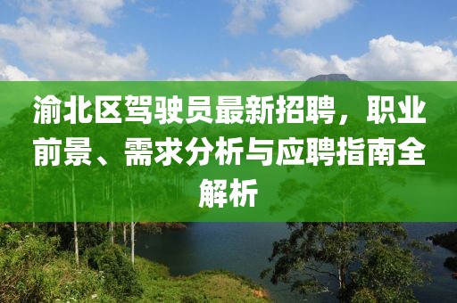 渝北區(qū)駕駛員最新招聘，職業(yè)前景、需求分析與應(yīng)聘指南全解析