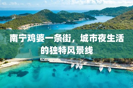 南寧雞婆一條街，城市夜生活的獨特風景線