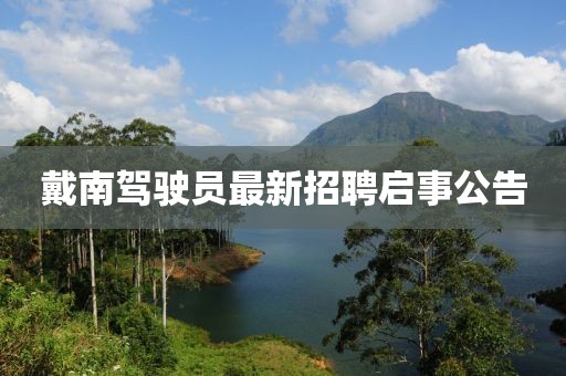 戴南駕駛員最新招聘啟事公告