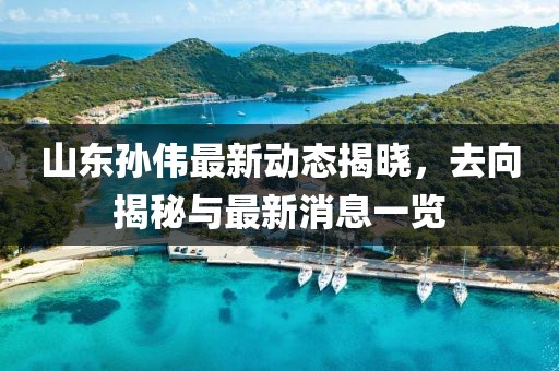 山東孫偉最新動態(tài)揭曉，去向揭秘與最新消息一覽