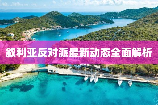 敘利亞反對(duì)派最新動(dòng)態(tài)全面解析