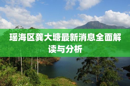 瑤海區(qū)龔大塘最新消息全面解讀與分析