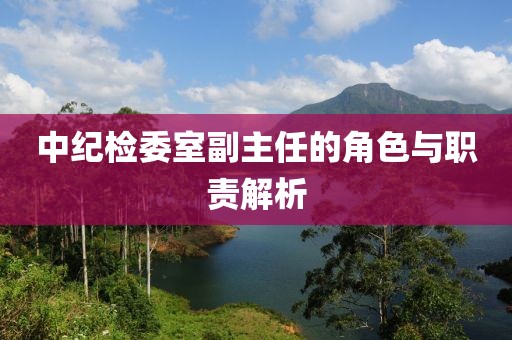 中紀(jì)檢委室副主任的角色與職責(zé)解析