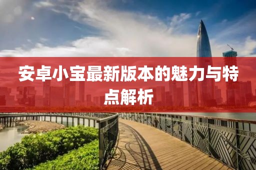 安卓小寶最新版本的魅力與特點解析