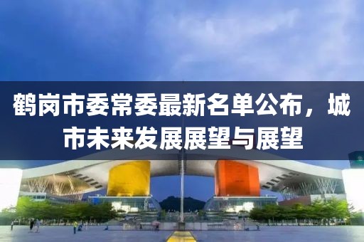 鶴崗市委常委最新名單公布，城市未來發(fā)展展望與展望