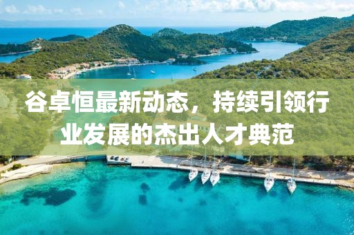 谷卓恒最新動態(tài)，持續(xù)引領(lǐng)行業(yè)發(fā)展的杰出人才典范