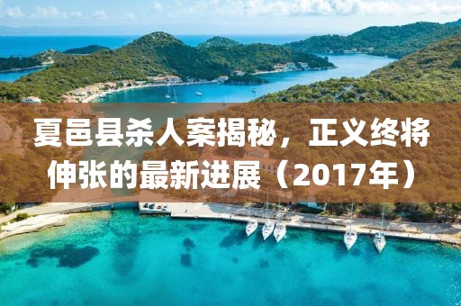 夏邑縣殺人案揭秘，正義終將伸張的最新進(jìn)展（2017年）